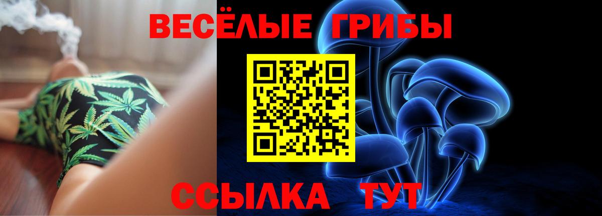 Галлюциногенные грибы Magic Shrooms Кузнецк
